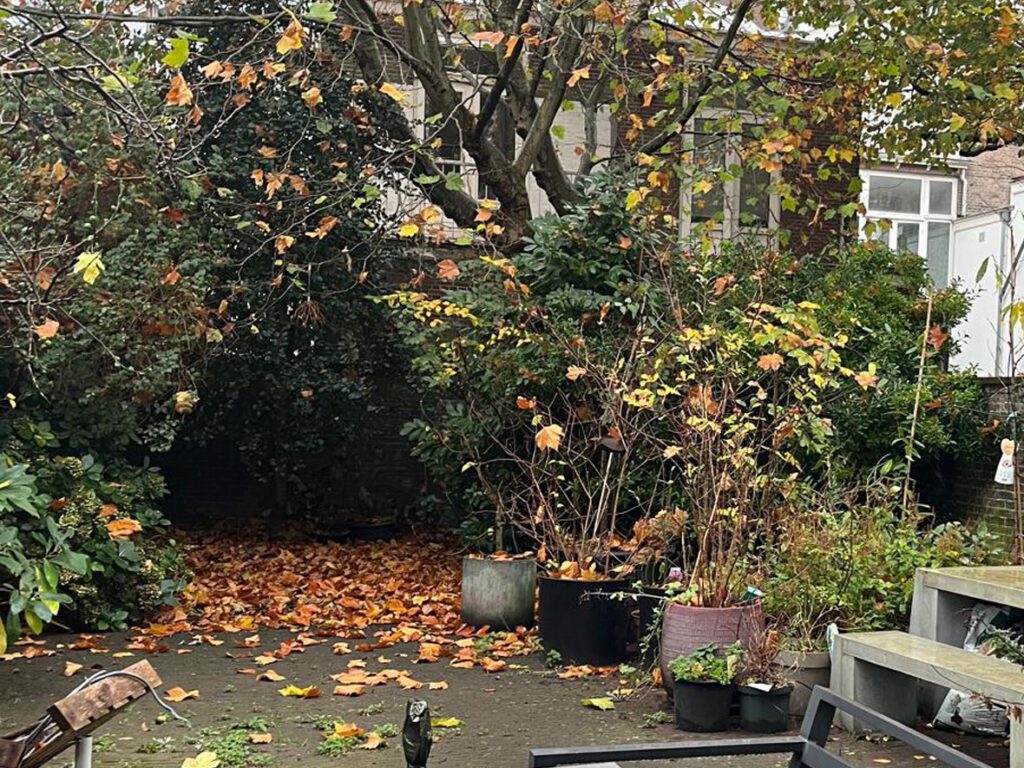 verwilderde stadstuin voor tuinaanleg
